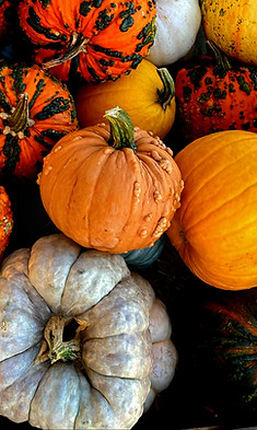 Pumpkins Pic_edited_edited.jpg