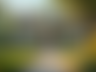 Achieve Home Ownership: Affordable Homes With Jake