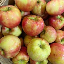 apples.jpg