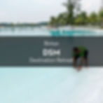 DSM - RED Events - Management