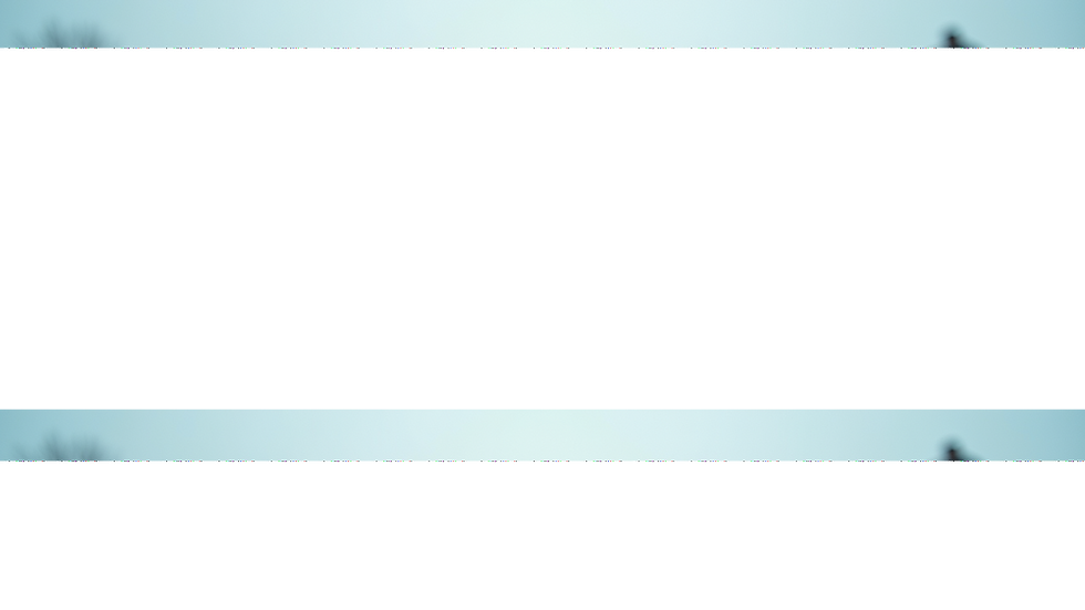 Expert Storm Damage Restoration in San Antonio