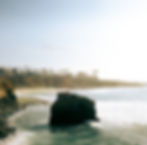 000042310004-Edit-2.jpg