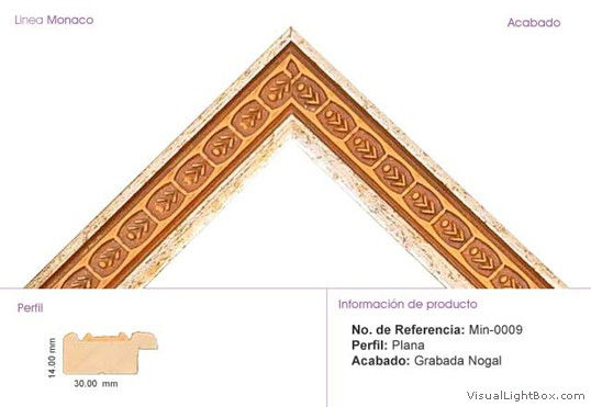min-0009-plana-grabada-noga