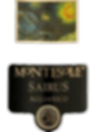 SAIRUS label.png