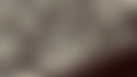  - CO2マガジンの種類と危険度の違い -