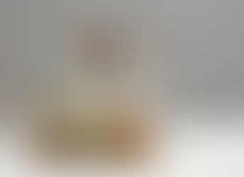 Empêchez les rongeurs d’entrer chez vous grâce à un calfeutrage efficace.