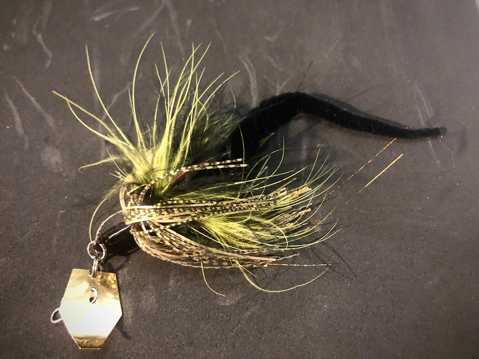 Miniature : Zf-Hybrid drangonfly 