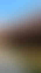 Reconstructed Chettinad home