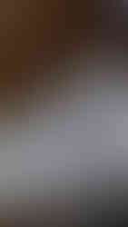 Teak wood ceiling inside church