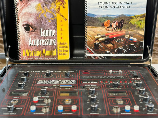 Dennis Cappel Horsemanship