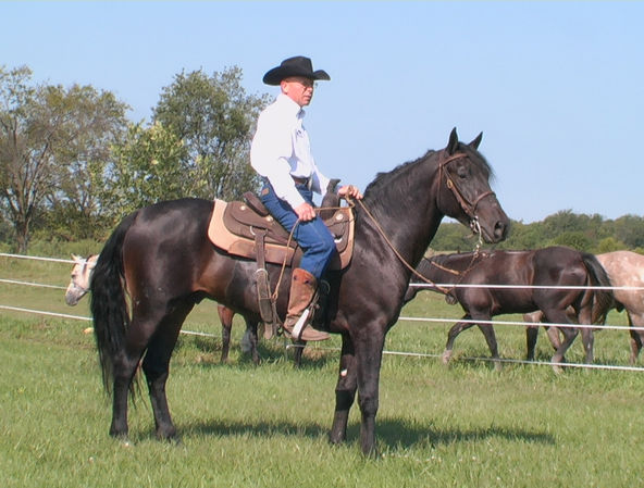 ba book cappel's knight.jpg