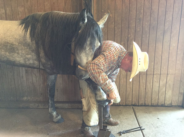 spirit acceptance with front foot.jpg