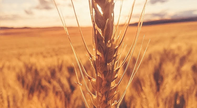 Remembering the Relationship