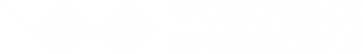 Workforce Energetics logo - Conscious Employee Experience Strategy for Culture and Leadership