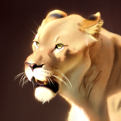Lion Study