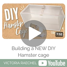 Copy of Copy of Copy of Copy of Copy of Copy of Copy of sUBSTRATE Budget.png