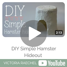 Copy of Copy of Copy of Copy of Copy of Copy of Copy of Copy of Copy of sUBSTRATE Budget (