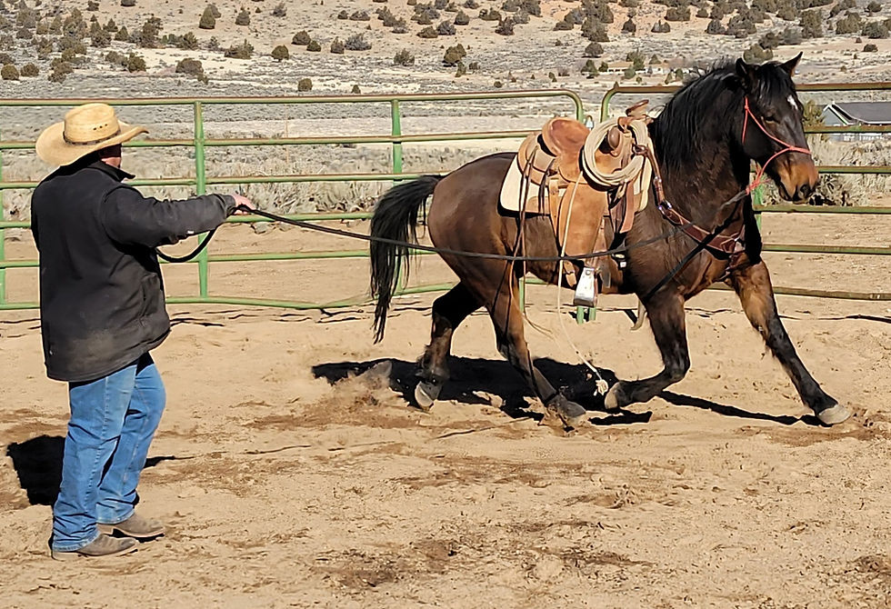 Finding freedom in forward motion