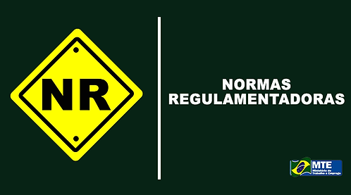 prolifeengenharia.com.br-baixar-nr-normas-regulamentadoras-em-portugues-e-gratis-baixar-nr.png
