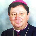 de Aviz.jpeg