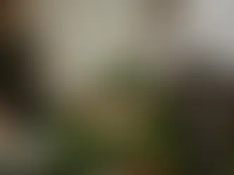 Home Bar Essentials for Vodka Lovers: Tools and Tips