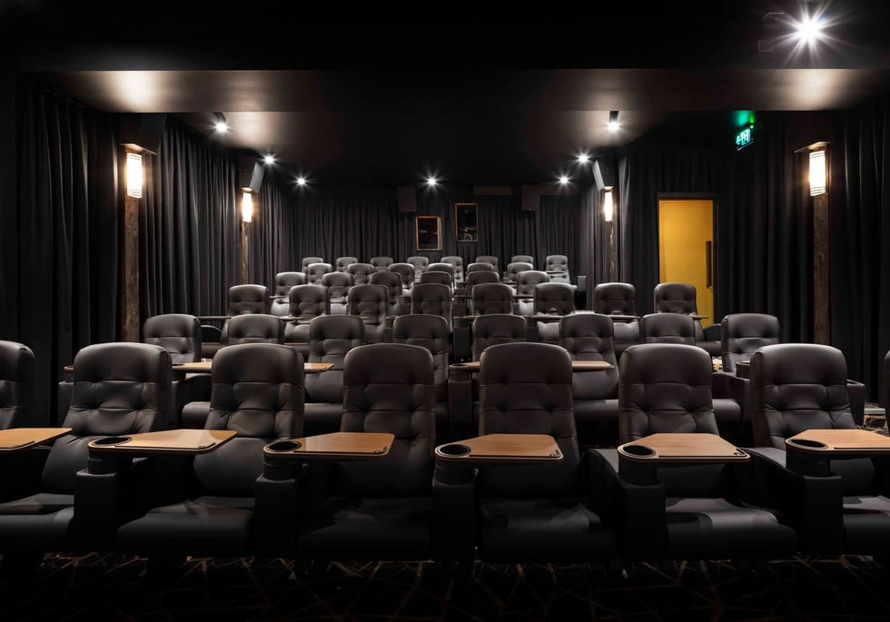 Cinema 2.jpeg