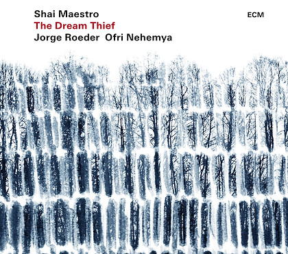Shai Maestro The Dream Thief.jpg