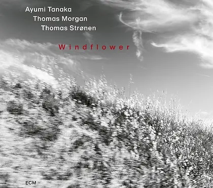 Ayumi Tanaka - Windflower.webp