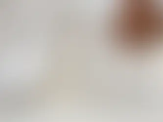 PADRÓN ELECTORAL DE MÉXICO SE ELEVA A MÁS DE 101 MILLONES 793 MIL REGISTROS