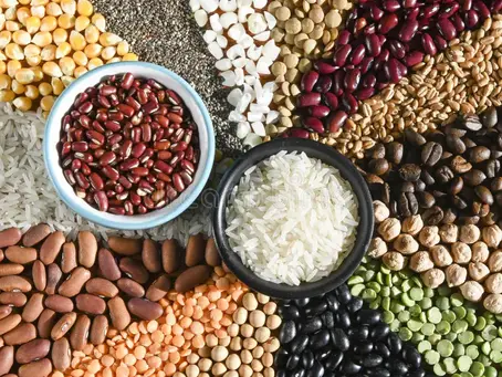 DESABASTO DE SEMILLA CALIFICADA AFECTA PRODUCCIÓN DE MAÍZ Y CULTIVOS ESTRATÉGICOS EN MÉXICO