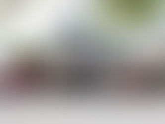 Brinda SMSEM más de 2 mil 400 atenciones odontológicas en el primer año de gestión de Jenaro Martínez