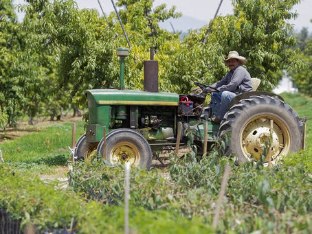 SE REGISTRA PEOR SALDO COMERCIAL AGROALIMENTARIO AL PRIMER BIMESTRE EN UNA DÉCADA