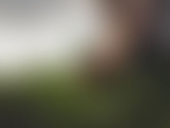 CAMPESINOS DEMANDAN MEJORAR PRESUPUESTO AL CAMPO EN EL PEF 2026