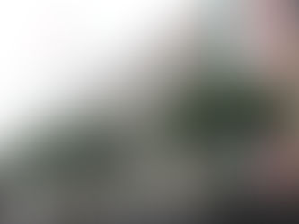 ESTRATEGIA EN COMUNICACIÓN SOCIALFACETAS DE MÉXICO