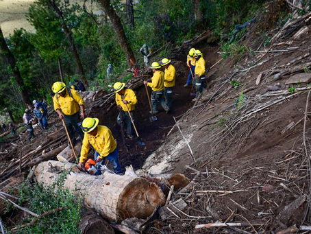 Celebra Probosque 36 años de servicio a favor de los bosques mexiquenses