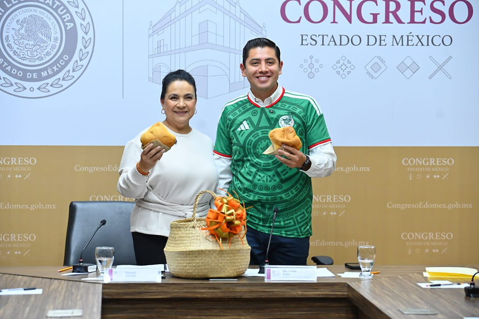 Comisión avala protección de tradiciones de San Antonio, Temoaya y Villa Guerrero