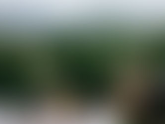 Top 7 Cafes with View