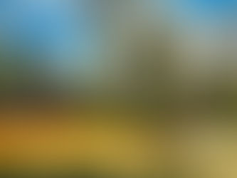 Top Parks to Visit in Istanbul