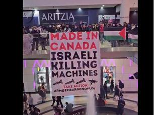 Toronto is Quickly Becoming a Muslim Held City...What's with Poilievre?...Minnesota's Massive Muslim Fraud Scandal...Happy New Year...