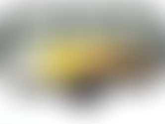 WEAK, PATHETIC DAWSON COLLEGE CAVES TO JEW-HATING ANTISEMITES...BOYS HAVE TO USE THE BOYS TERLIT...JOE AND MICA KISS THE RING