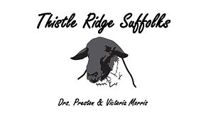 Thistle Ridge Suffolks.jpg
