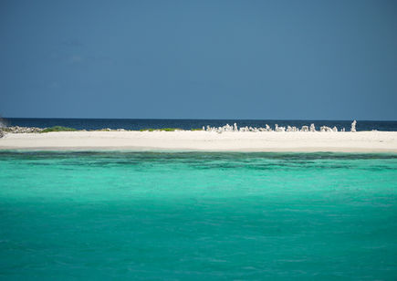 Sandy Island, Carriacou