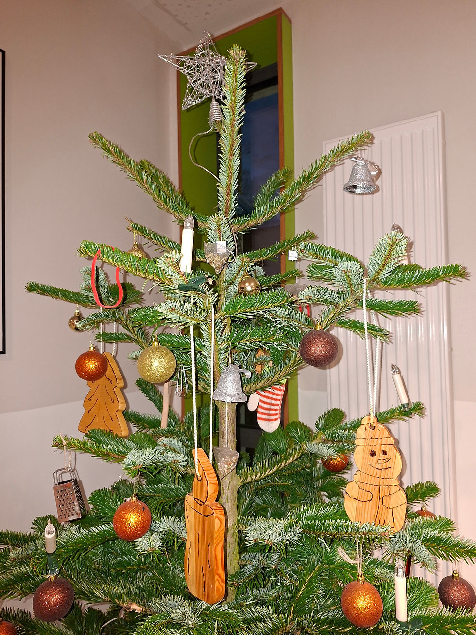 Vielleicht erkennt ihr es jetzt besser, was dort nicht an einen Weihnachtsbaum gehört. (c) Young People