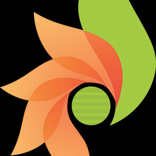 Foto do escritor: Associação de Desenvolvimentismo  Social