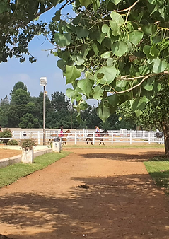 Screenshot 2022-09-06 at 19.29.44.png