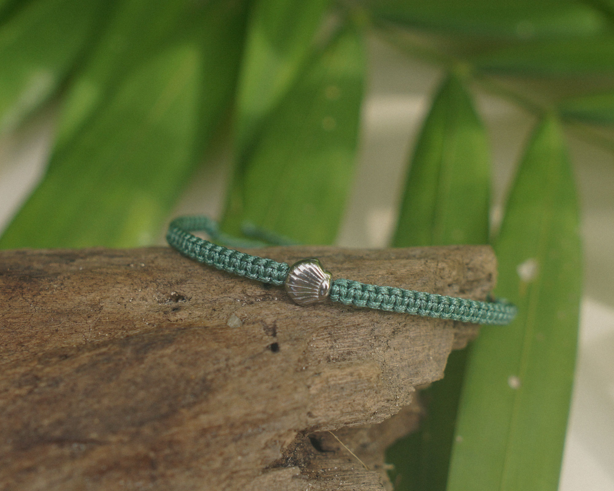 Shell Bracelet Silver - THE OCEAN PROJECT