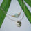 Thumbnail: Layered necklace with Prehnite and monstera charm