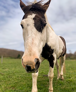 Screenshot 2025-08-04 102927.png