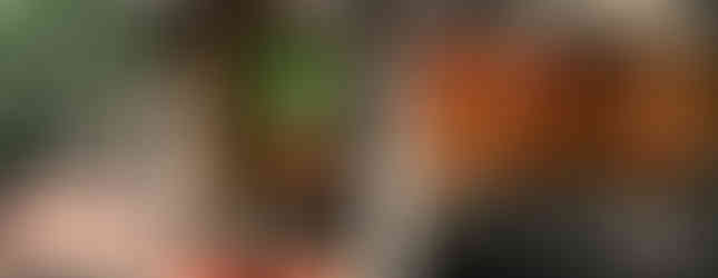 Wegbeschreibung - welche Route nehmen wir?