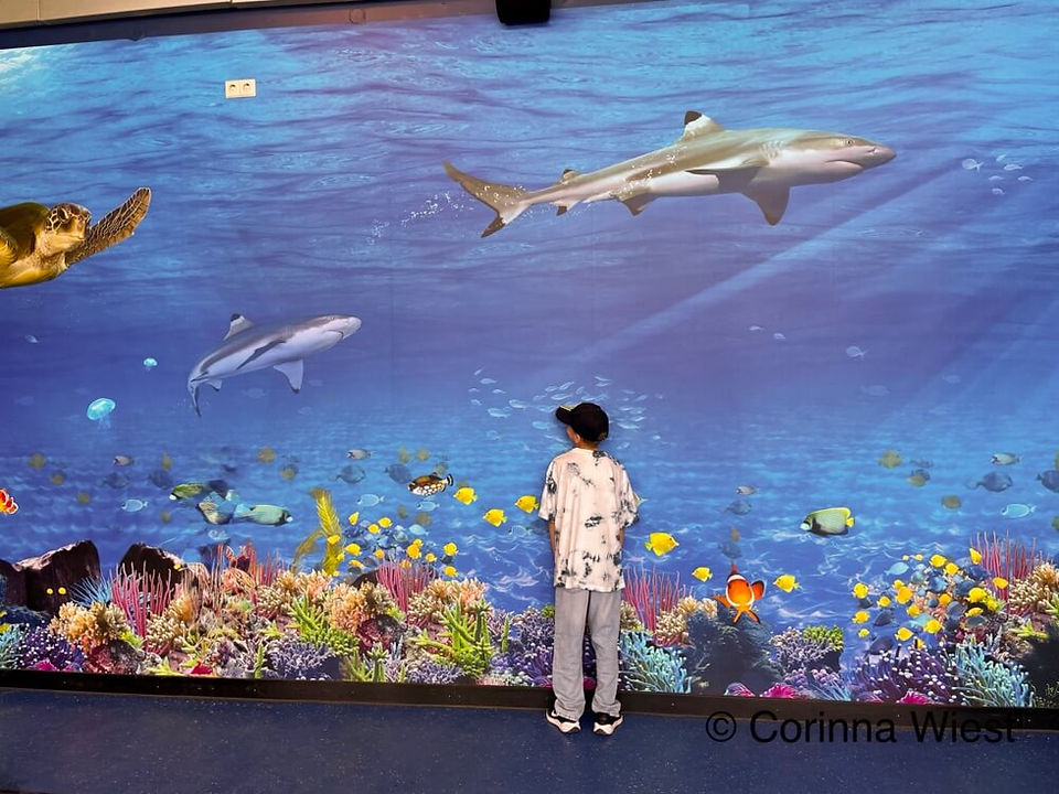 das mega Aquarium.